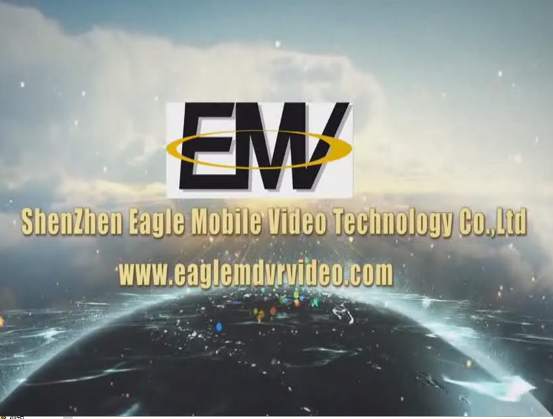 Eagle Mobile Video Array image17