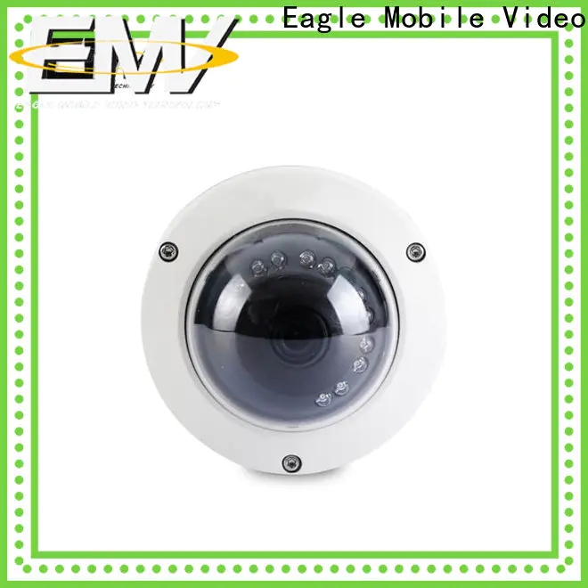 vandalproof dome camera vision type