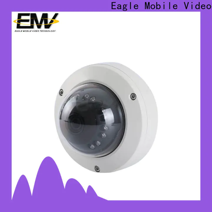 Eagle Mobile Video new-arrival mobile dvr type for police car